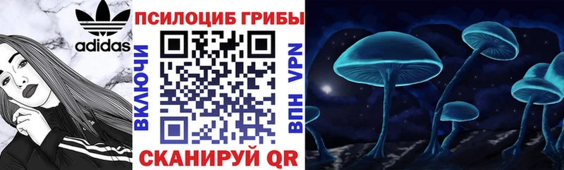 Псилоцибиновые грибы GOLDEN TEACHER  hydra рабочий сайт  Усть-Кут 